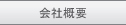 �G�C�L�b�g�E�g���T������Ёb��ЊT�v