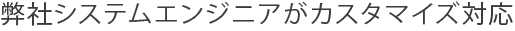弊社システムエンジニアがカスタマイズ対応